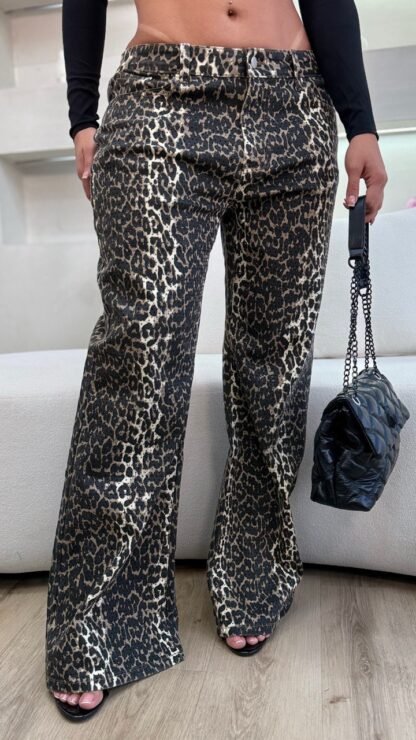 JEAN BRILLOS ANWND 6767