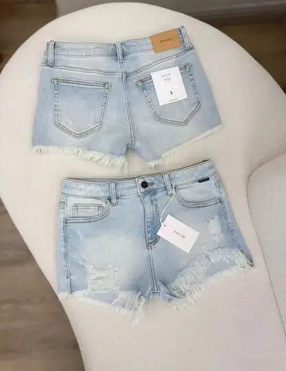 SHORT CELLO WV46756SLT1